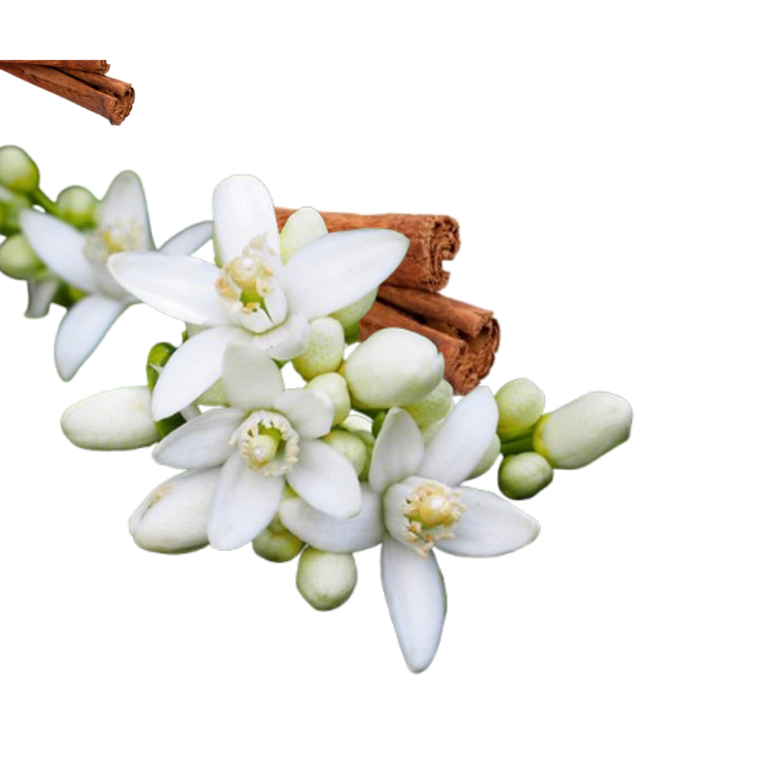 Neroli and Musk